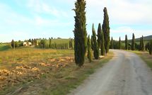 Bild vorgelegt von den Gästen von Borgo Tollena 