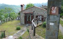 Bild vorgelegt von den Gästen von Paradiso 