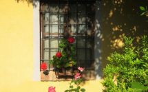 Bild vorgelegt von den Gästen von Limoni 