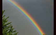 Bild vorgelegt von den Gästen von Limoni 