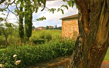 Bild vorgelegt von den Gästen von Agriturismo la Papessa 