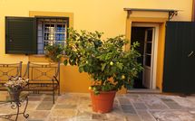 Bild vorgelegt von den Gästen von Flavia 