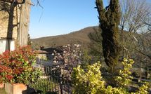 Bild vorgelegt von den Gästen von Villa Fabbroni - Fattoria San Polo 