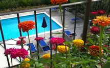 Bild vorgelegt von den Gästen von Palazzo Rosadi 