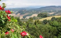 Bild vorgelegt von den Gästen von La Chiesina di Vittorio 