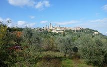 Bild vorgelegt von den Gästen von Podere degli Olivi 