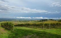 Bild vorgelegt von den Gästen von Podere degli Olivi 