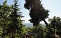 Bild vorgelegt von den Gästen von Borgo del Castagno 