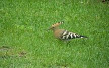 Bild vorgelegt von den Gästen von Casa Lucia 