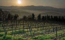 Bild vorgelegt von den Gästen von Tenuta 