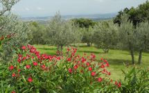 Bild vorgelegt von den Gästen von Villa Nibbiano 