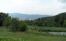 Bild vorgelegt von den Gästen von Casa Cristina 