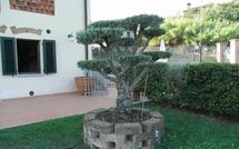 Bild vorgelegt von den Gästen von Antico Fienile 