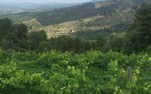 Bild vorgelegt von den Gästen von Castellinuzza 