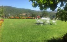 Bild vorgelegt von den Gästen von Palazzo Rosadi 