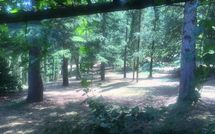 Bild vorgelegt von den Gästen von Palazzo Rosadi 