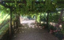 Bild vorgelegt von den Gästen von Palazzo Rosadi 