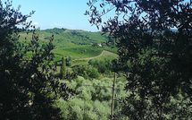 Bild vorgelegt von den Gästen von Villa la Vedetta 