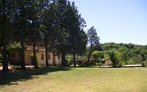 Bild vorgelegt von den Gästen von Trecento 