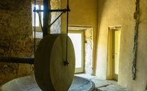 Bild vorgelegt von den Gästen von Podere Torremozza 