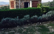 Bild vorgelegt von den Gästen von Isidoro 