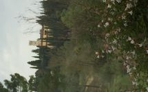 Bild vorgelegt von den Gästen von Villa Cinzia 