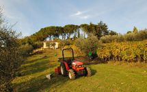 Bild vorgelegt von den Gästen von Casa Lucia 