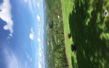 Bild vorgelegt von den Gästen von Palazzo Rosadi 