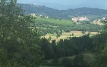 Bild vorgelegt von den Gästen von Palazzo Rosadi 