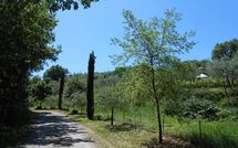 Bild vorgelegt von den Gästen von Podere San Bono 