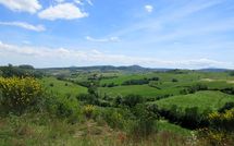 Bild vorgelegt von den Gästen von Podere San Bono 