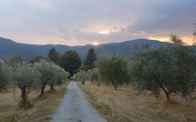 Bild vorgelegt von den Gästen von Il Castagneto 