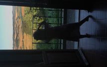 Bild vorgelegt von den Gästen von Villa di Montelopio 