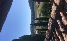 Bild vorgelegt von den Gästen von Tenuta Il Tresto 