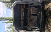 Bild vorgelegt von den Gästen von Villa Il Prato 