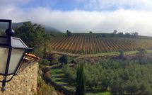 Bild vorgelegt von den Gästen von Villa Nova 