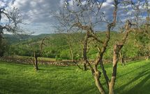 Bild vorgelegt von den Gästen von Casalta di Pesa 