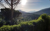 Bild vorgelegt von den Gästen von La Palma 