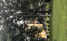 Bild vorgelegt von den Gästen von Il Poggio di Patrignone 