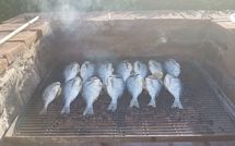 Bild vorgelegt von den Gästen von Torre di Vignale 