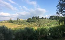 Bild vorgelegt von den Gästen von Casa delle Fiabe 