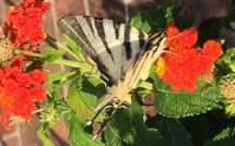 Bild vorgelegt von den Gästen von Casa Fiora 