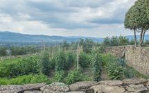 Bild vorgelegt von den Gästen von Villa Agazzi 