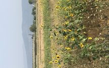 Bild vorgelegt von den Gästen von Case Sant'Anna 