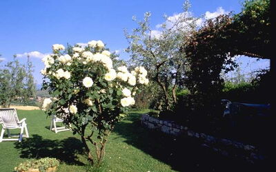 Poggetto Di Montese