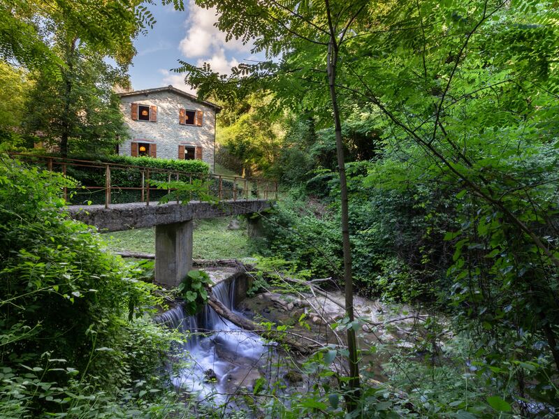 La Ripresa