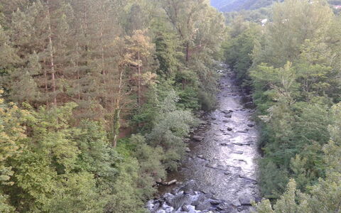 Appartamento Porretta Terme: Bergforms, Wildnis, Vegetation, Berg, Naturschutzgebiet, Baum, Biome, Wasser, Geologisches Phänomen, Pflanzengemeinschaft