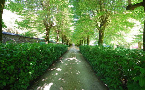 Villa Paola: Grün, Natur, Baum, Natürliche Landschaft, Vegetation, Blatt, Naturschutzgebiet, Natürlichen Umgebung, Gras, Pflanze