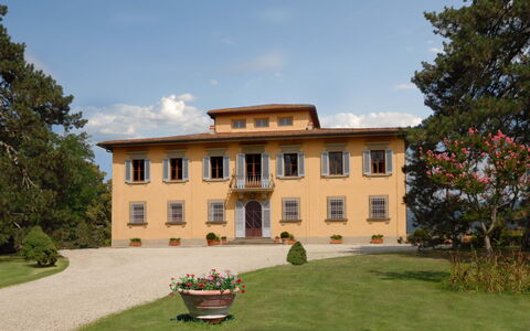 Villa Del Conte: Estate, Eigentum, Gebäude, Haus, Villa, Zuhause, Herrenhaus, Villa, Stattliches Heim