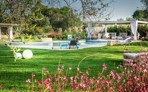 Trulli Itaka: Garten, Rasen, Gras, Botanischer Garten, Baum, Frühling, Botanik, Blume, Pflanze, Park